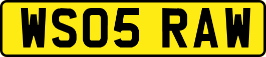 WS05RAW