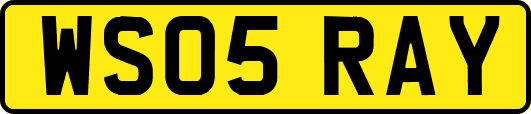 WS05RAY