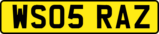 WS05RAZ
