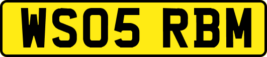 WS05RBM