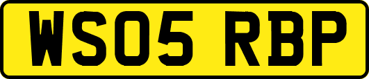 WS05RBP