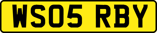 WS05RBY