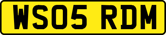 WS05RDM