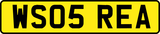WS05REA