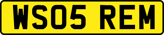 WS05REM