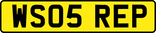 WS05REP