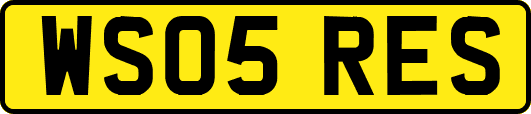 WS05RES