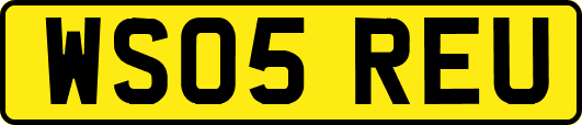 WS05REU