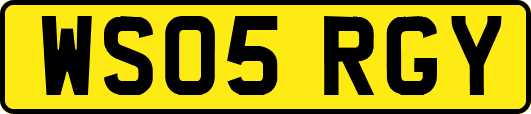WS05RGY