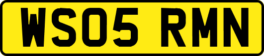 WS05RMN