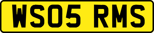 WS05RMS