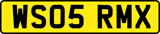 WS05RMX