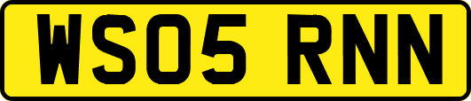 WS05RNN
