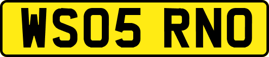 WS05RNO