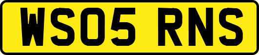 WS05RNS