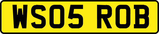WS05ROB