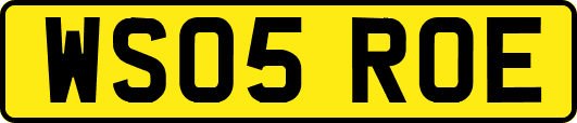 WS05ROE