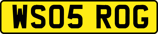 WS05ROG