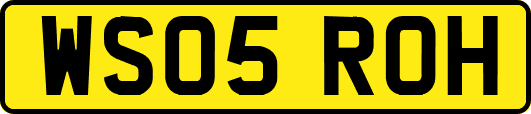 WS05ROH