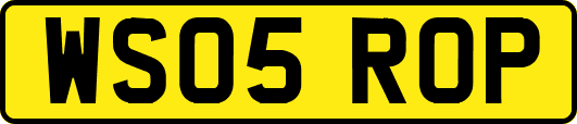 WS05ROP