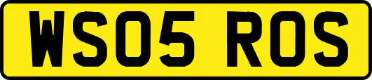 WS05ROS