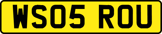 WS05ROU