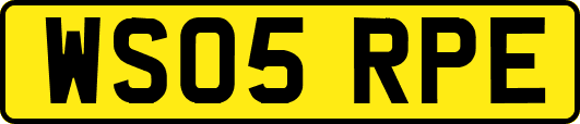 WS05RPE