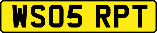 WS05RPT