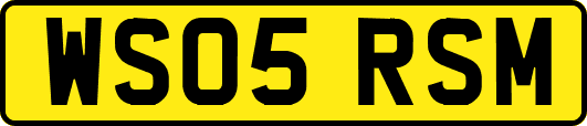 WS05RSM