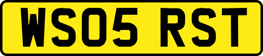 WS05RST