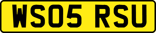WS05RSU