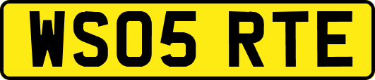 WS05RTE