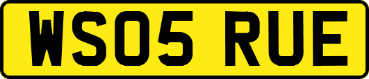 WS05RUE