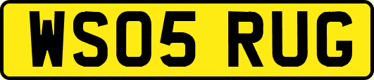 WS05RUG
