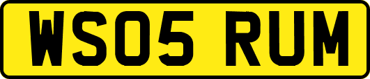 WS05RUM