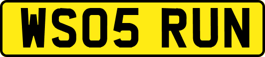 WS05RUN