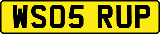 WS05RUP