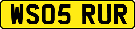 WS05RUR