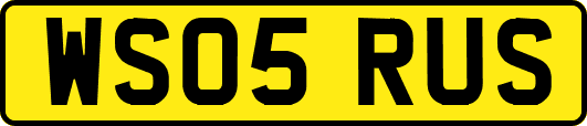 WS05RUS