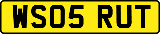 WS05RUT