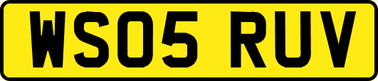 WS05RUV