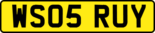 WS05RUY