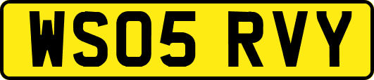 WS05RVY