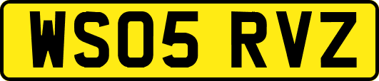 WS05RVZ