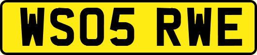 WS05RWE