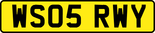 WS05RWY