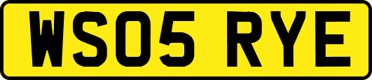 WS05RYE