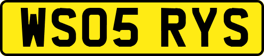 WS05RYS