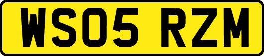 WS05RZM