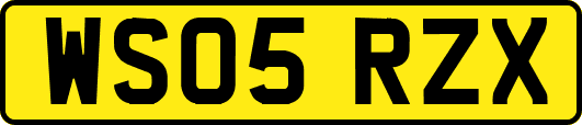 WS05RZX